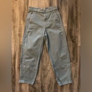 Everlane Utility Barrel Pants in icy waters  size 4